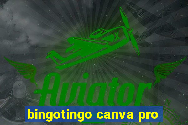 bingotingo canva pro